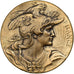 Francia, medalla, IVème Fête de Tir de Lyon, 1904, Bronce, Bottée, EBC